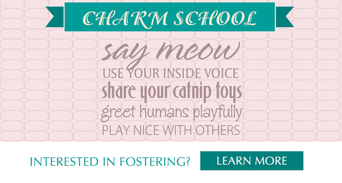 Charm School Banner